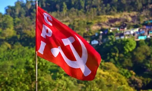 cpi flag