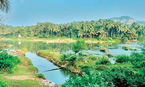 രാമഞ്ചാടി ലിഫ്റ്റ് ഇറിഗേഷൻ നവീകരണത്തിന് 27 ലക്ഷം രാമഞ്ചാടി ലിഫ്റ്റ് ഇറിഗേഷൻ നവീകരണത്തിന് 27 ലക്ഷം