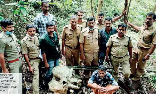 ആനപ്പല്ല് വിൽക്കാൻ ശ്രമിക്കുന്നതിനിടെ പിടിയിൽ