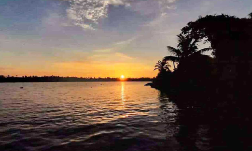 കലാഗ്രാമമാകാൻ എഴുപുന്ന; പ്രതീക്ഷയിൽ നാട്