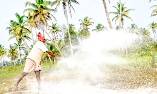 കുമരകത്തും പക്ഷിപ്പനി സ്ഥിരീകരിച്ചു