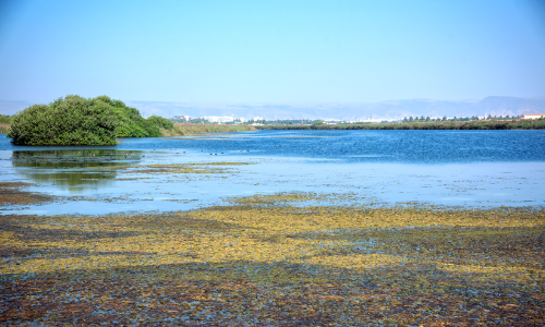 ഇക്കോ ടൂറിസം:  നിക്ഷേപാവസരമൊരുക്കി പരിസ്ഥിതി അതോറിറ്റി
