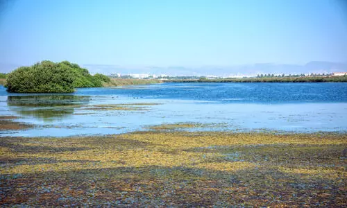 ഇക്കോ ടൂറിസം:  നിക്ഷേപാവസരമൊരുക്കി പരിസ്ഥിതി അതോറിറ്റി