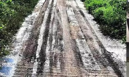 മനുഷ്യ വിസര്‍ജ്യം റോ​ഡി​ലൊ​ഴു​ക്കി​