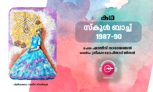 സ്കൂൾ ബാച്ച് 1987-90 -കഥ