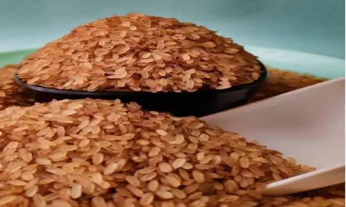 ചോറിൽ കല്ലിട്ട് ഭക്ഷ്യവകുപ്പ്:  അരി ഗുണനിലവാരത്തിൽ മില്ലുകാർക്ക് ഉത്തരവാദിത്തമില്ല