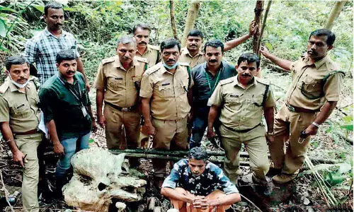 Arrested while trying to sell ivory