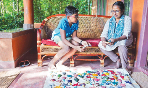 കാ​ദം​ബ​രി​യി​ലൊ​രു​ങ്ങു​ന്നു പ​രി​സ്ഥി​തി സൗ​ഹൃ​ദ ക്രി​സ്മ​സ് അ​ല​ങ്കാ​ര​ങ്ങ​ള്‍