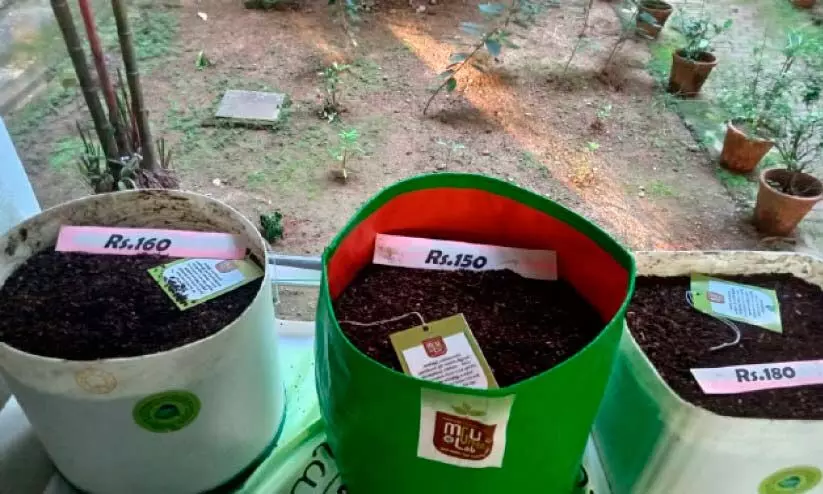 ഭക്ഷ്യാവശിഷ്ടങ്ങൾ ജൈവ വളമാക്കുന്നു; വളത്തിൽ വിപ്ലവവുമായി എം.ജി ഭക്ഷ്യാവശിഷ്ടങ്ങൾ ജൈവ വളമാക്കുന്നു; വളത്തിൽ വിപ്ലവവുമായി എം.ജി