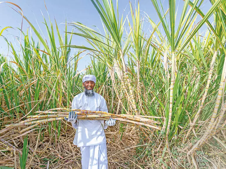 ഉ​ൽ​​പാ​ദ​ന ചെ​ല​വ് വ​ർ​ധി​ക്കു​ന്നു; കാ​ർ​ഷി​ക മേ​ഖ​ല​ക്ക്​   തി​രി​ച്ച​ടി