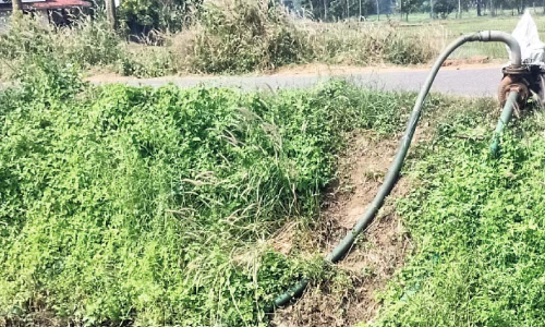 ഇഷ്​ടികക്കളങ്ങൾക്കും കെട്ടിട നിർമാണങ്ങൾക്കും; ക​നാ​ലി​ൽ​നി​ന്ന് വെ​ള്ളം ചോ​ർ​ത്തു​ന്നു