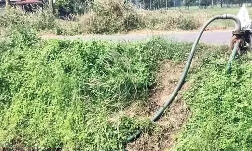 ഇഷ്​ടികക്കളങ്ങൾക്കും കെട്ടിട നിർമാണങ്ങൾക്കും; ക​നാ​ലി​ൽ​നി​ന്ന് വെ​ള്ളം ചോ​ർ​ത്തു​ന്നു