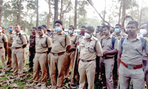 ഒടുവിൽ കടുവയെ കണ്ടു; മ​യ​ക്കു​വെ​ടി വെ​ക്കാ​നു​ള്ള ശ്ര​മം വി​ജ​യി​ച്ചി​ല്ല