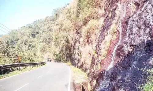 മത്തായി കൊക്കയും കാളവണ്ടിയും