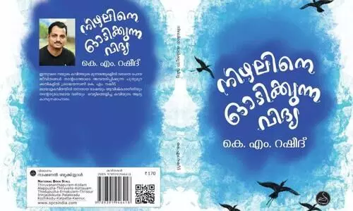 nizhaline odikkunna vidya