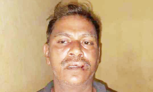 ഏഴുവയസ്സുകാരിയെ പീഡിപ്പിച്ച കേസിലെ പ്രതി അറസ്​റ്റിൽ