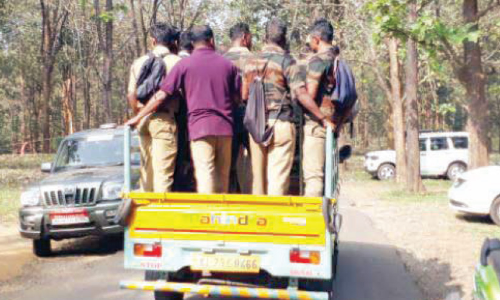 കു​റു​ക്ക​ന്മൂ​ല​യി​ലെ കടുവക്കായി തിരച്ചിൽ നിർത്തി