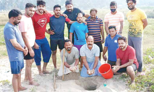 ചാവക്കാട് തീരത്ത് വീണ്ടും കടലാമകളുടെ സീസൺ