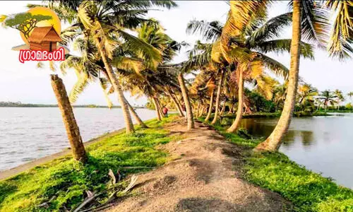 The beauty of the lake is important here The beauty of the lake is important here