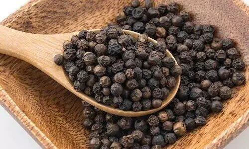 ഉയർന്ന വിലയിലും പ്രതീക്ഷയറ്റ് കർഷകർ; കുരുമുളക്​ കൃഷിക്ക് കഷ്ടകാലം