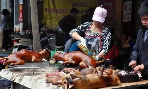 പട്ടിയിറച്ചിക്ക്​ തൂക്കമൊപ്പിക്കാൻ ആട്ടിറച്ചി ചേർത്ത്​ കബളിപ്പിക്കുന്ന നാട്​; വി. മുസഫർ അഹമ്മദ്​ എഴുതുന്നു