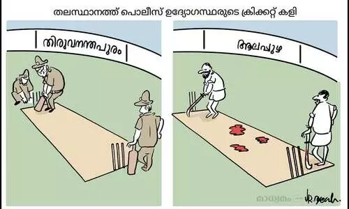 ക്രിക്കറ്റ് കളി