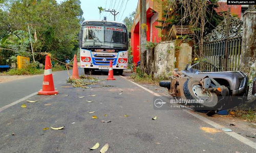 ഇരട്ടക്കൊലപാതകം: ബി.ജെ.പി എതിർത്തു; സർവകക്ഷി യോഗം ഇന്ന്​ നടത്തും