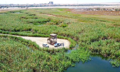 ജ​ഹ്​​റ നാ​ച്വ​റ​ൽ റി​സ​ർ​വി​ൽ ഇ​ന്നു​മു​ത​ൽ സ​ന്ദ​ർ​ശ​ക​രെ സ്വീ​ക​രി​ക്കും