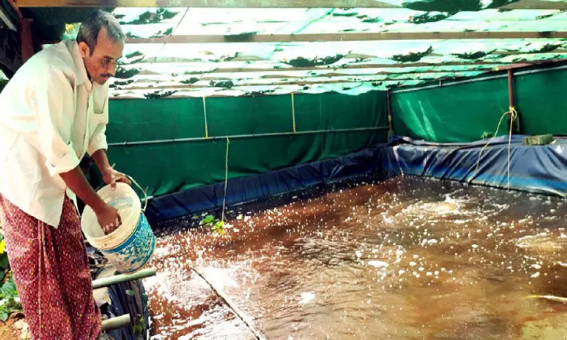 Raju Kunnath success story in fish farming