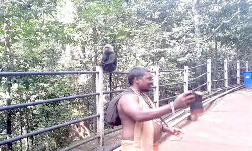 Selfie with wildlife in violation of Forest Department ban