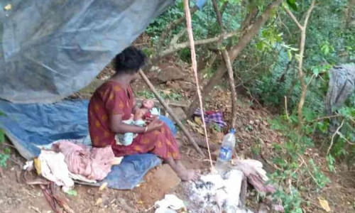 ഉൾവനത്തിൽ ആദിവാസി യുവതിക്ക് സുഖപ്രസവം