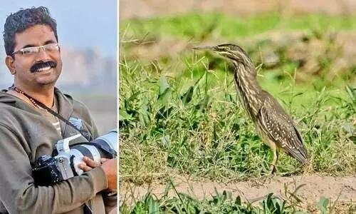 കുവൈത്തിൽ പക്ഷിനിരീക്ഷണത്തിൽ അംഗീകാരം നേടി മലയാളി