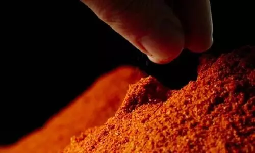 Chilli Powder