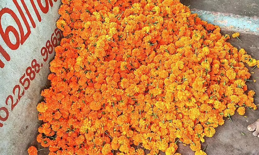 പൂവിന്​ പൊന്നുംവില