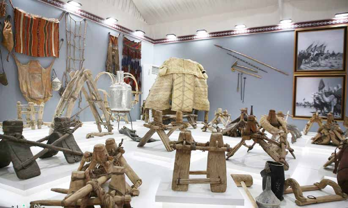 ഒട്ടകോത്സവത്തിലെ പ്രദർശനം ശ്രദ്ധേയമാകുന്നു