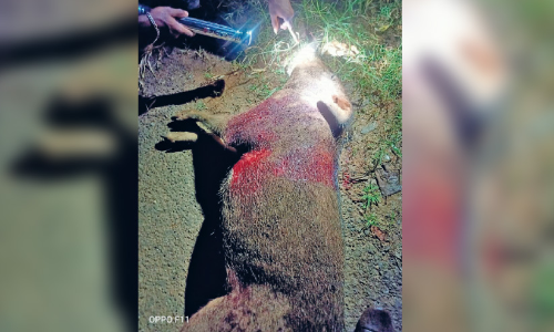 കാട്ടുപന്നി മുതൽ കാലാവസ്ഥ വ്യതിയാനം വരെ; വേണം, കാർഷിക മേഖലക്ക്​ കരുതൽ