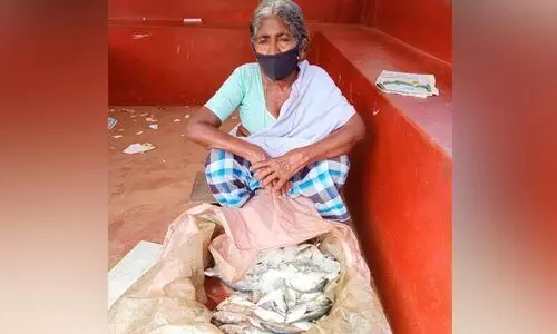 ജാനകിയേട്ടിയുടെ മീൻകുട്ടയിലെ സ്നേഹവിൽപനക്ക് നാടി​െന്‍റ ആദരം