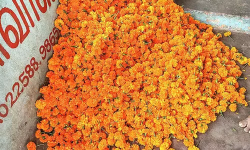 പൂവിന്​ പൊന്നുംവില