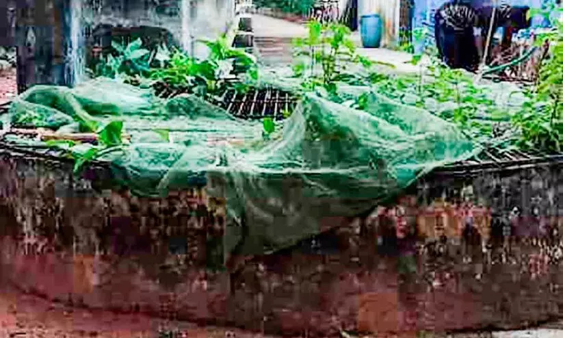 പൊ​തു​കിണ​ർ വൃത്തിയാക്കിയിട്ട് ഏഴുവർഷം; നാട്ടുകാർക്ക്​ കുടിക്കാൻ മലിനജലം