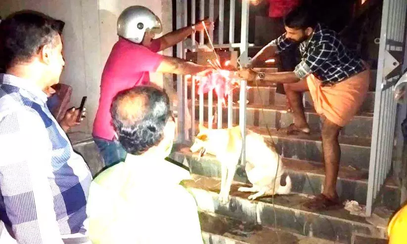 ഗെയ്റ്റിെൻറ കമ്പികൾക്കിടയിൽ കുരുങ്ങിയ തെരുവുനായെ രക്ഷിച്ച് യുവാക്കൾ ഗെയ്റ്റിെൻറ കമ്പികൾക്കിടയിൽ കുരുങ്ങിയ തെരുവുനായെ രക്ഷിച്ച് യുവാക്കൾ