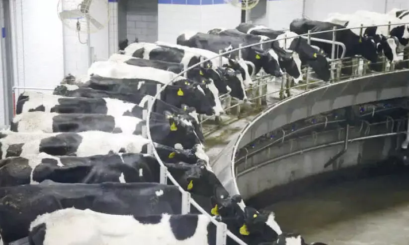 ഇ​സ്രാ​യേ​ൽ ക്ഷീ​ര​വി​പ്ല​വം ഉ​ട​ൻ കേ​ര​ള​ത്തി​ലും