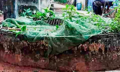 പൊ​തു​കിണ​ർ വൃത്തിയാക്കിയിട്ട് ഏഴുവർഷം; നാട്ടുകാർക്ക്​ കുടിക്കാൻ മലിനജലം