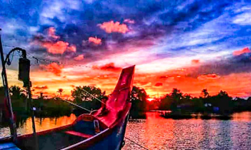 പ്രകൃതിയിലേക്ക്​ മിഴിതുറന്ന്​ വെളുത്തുള്ളി