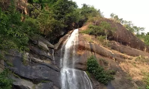 പൂവ് നിറഞ്ഞ മല, പൂമാല