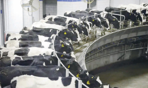 ഇ​സ്രാ​യേ​ൽ ക്ഷീ​ര​വി​പ്ല​വം ഉ​ട​ൻ കേ​ര​ള​ത്തി​ലും