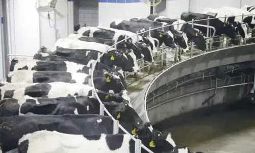 ഇ​സ്രാ​യേ​ൽ ക്ഷീ​ര​വി​പ്ല​വം ഉ​ട​ൻ കേ​ര​ള​ത്തി​ലും