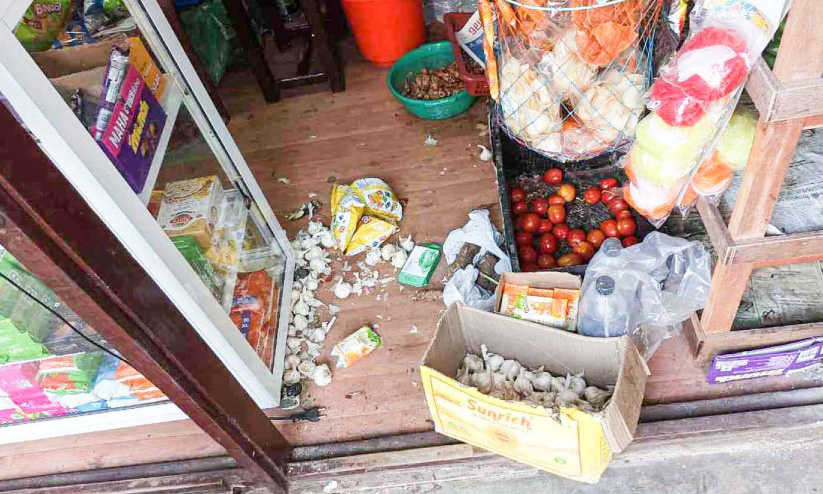 നെട്ടൂരില് കടയും നേര്ച്ചപ്പെട്ടിയും കുത്തിത്തുറന്ന് മോഷണം നെട്ടൂരില് കടയും നേര്ച്ചപ്പെട്ടിയും കുത്തിത്തുറന്ന് മോഷണം