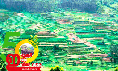 കാ​ലി​ട​റു​ന്ന കാ​ർ​ഷി​ക​മേ​ഖ​ല