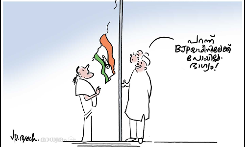 സ്ഥാപകദിനത്തിൽ സോണിയ ഉയർത്തിയ കോൺഗ്രസ് പതാക പൊട്ടിവീണു