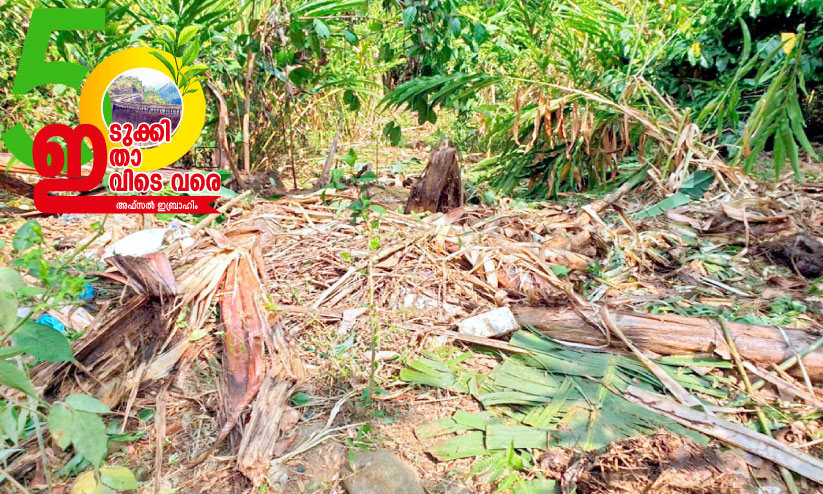 കൊലവിളിയുമായി വന്യജീവികൾ കൊലവിളിയുമായി വന്യജീവികൾ